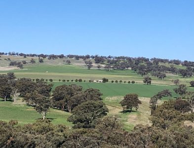 South Bowan Park Farm (3)