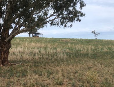 South Bowan Park Farm (9)